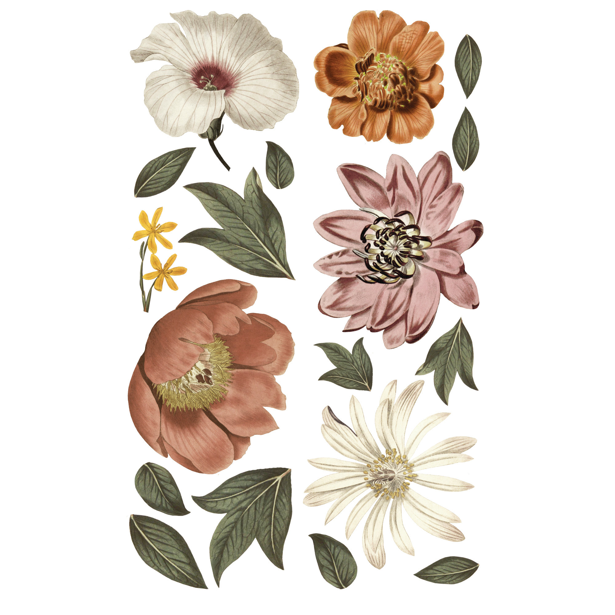 Urban Walls Eden Plants & Flowers Wall Decal Wayfair