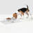 Small Clear Elevated Feeder with Silver Bowls-1580976700