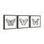 Gowans Spread Your Wings And Fly - Ensemble de 3 cadres photo-82612580