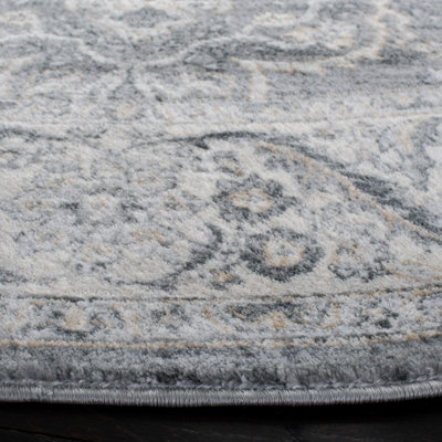 Aayusha Performance Oriental Rug