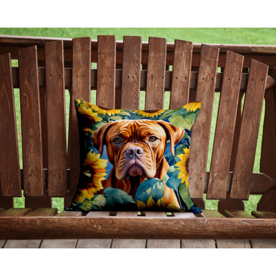Outdoor Throw Pillow