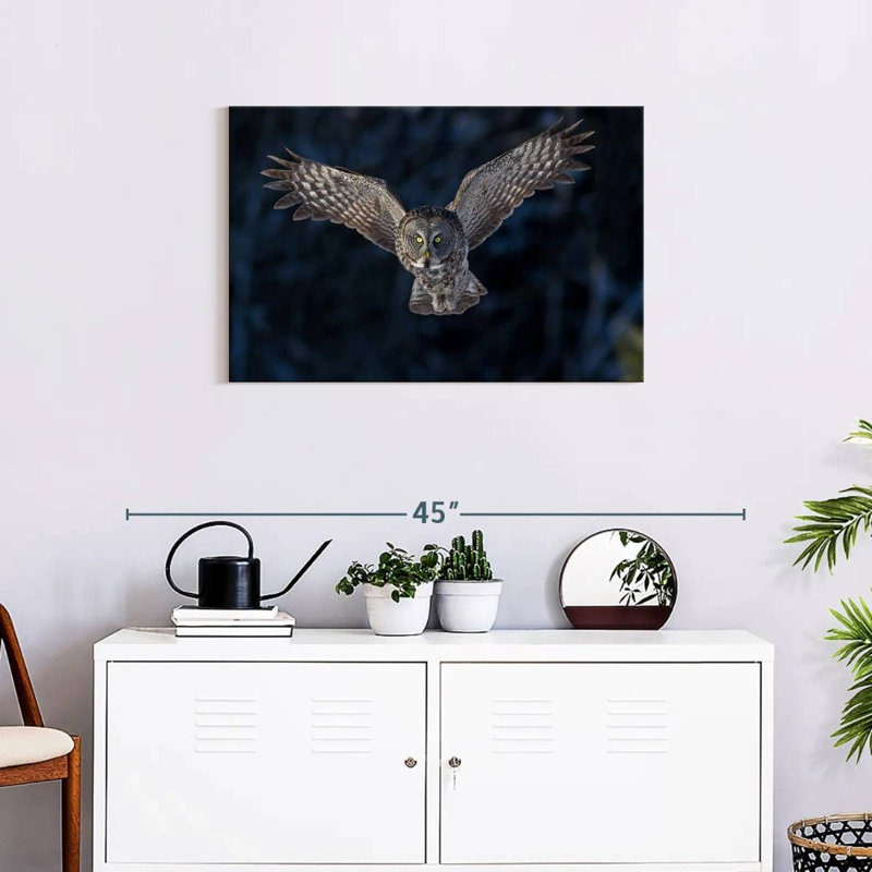 Hibou gris volant, H 20 po x l 30 po
