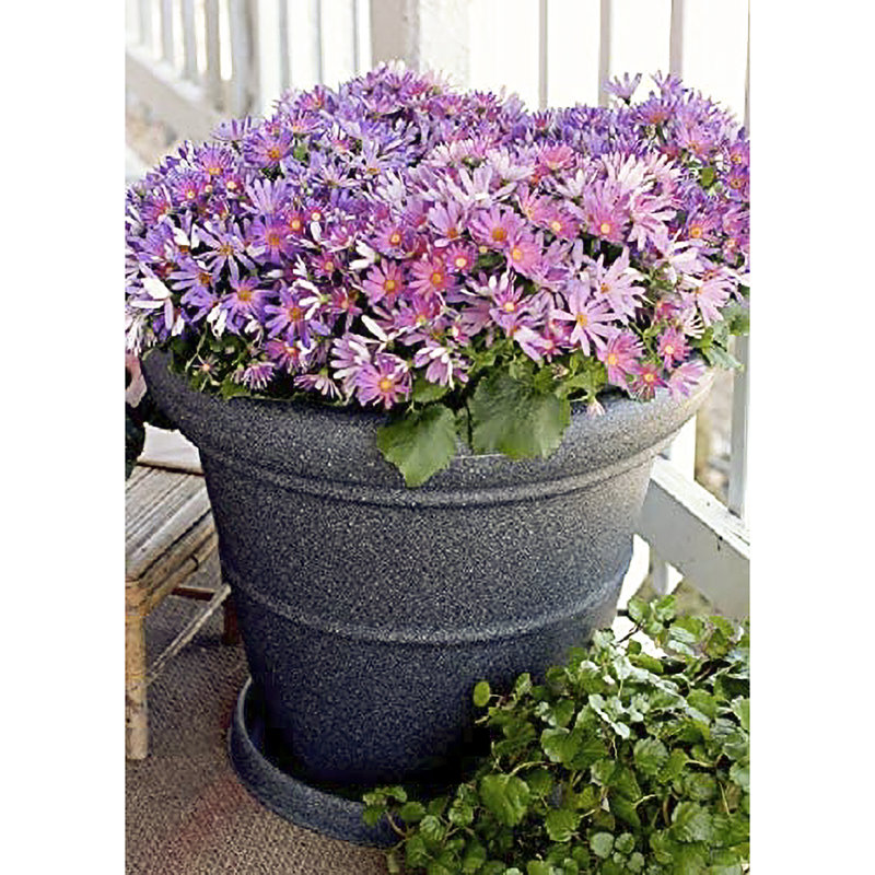 Pot à fleurs en plastique