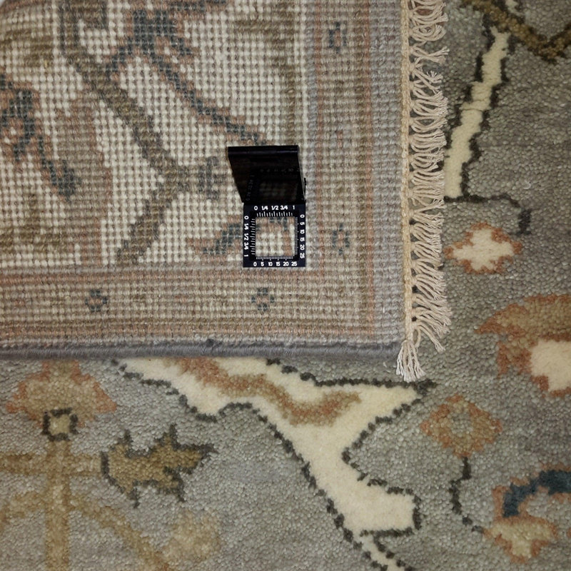 Caityln Oriental Rug