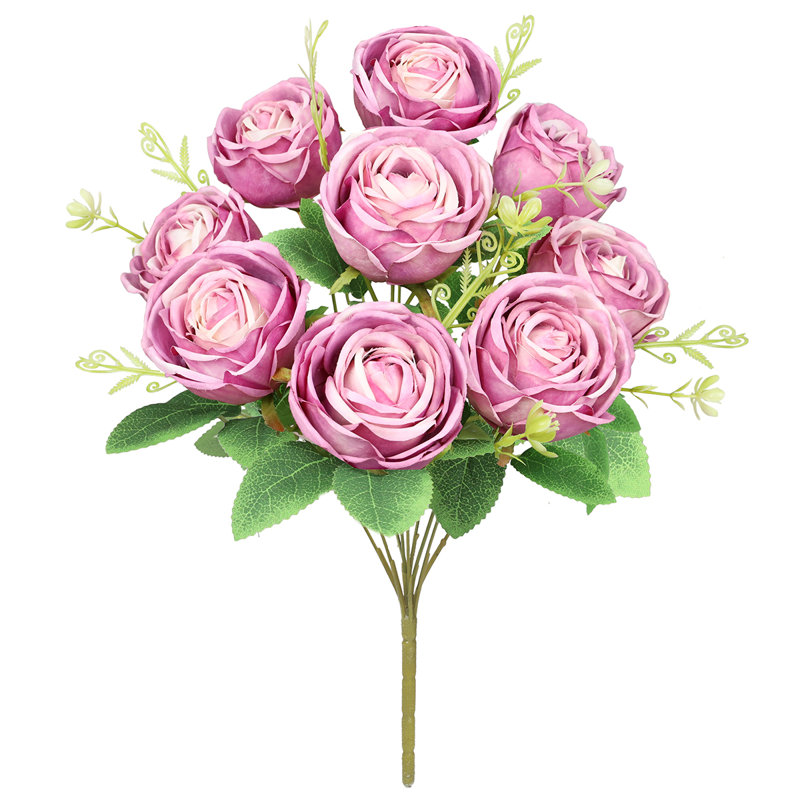 Rosiers Torres, Rose mauve