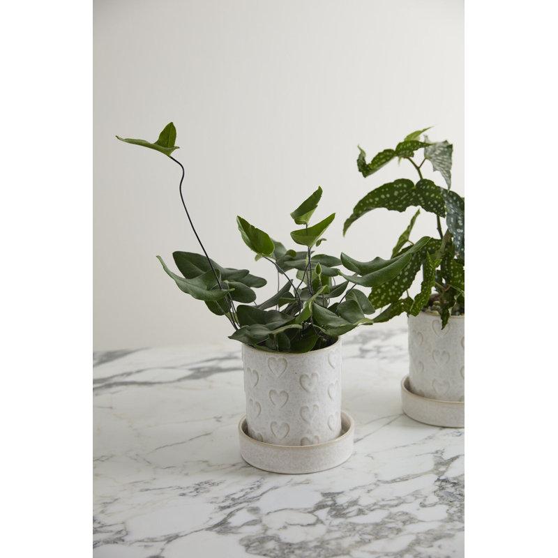 Pot chaleureux avec soucoupe