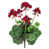 Rouge / vert