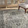Micheline Performance Oriental Rug