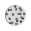 Olive Market Bone China