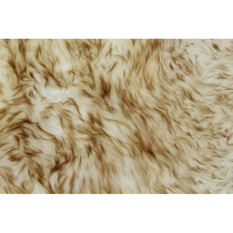 Sheepskin Rug