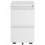 39cm Wide 2 -Drawer Mobile Steel File Cabinet-93484434