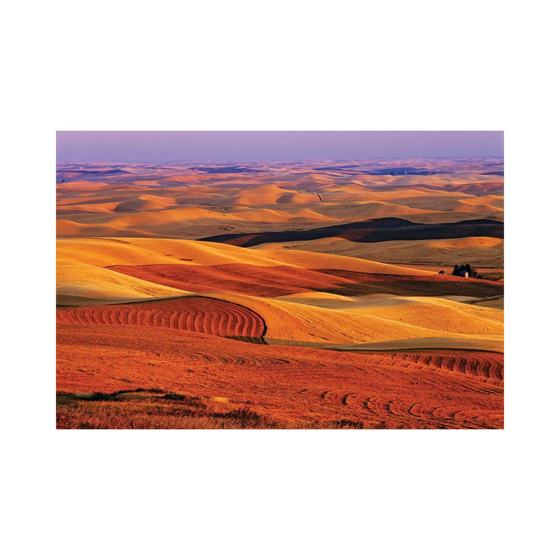 USA, Washington State. Palouse Farming Landscape. by Jaynes Gallery - Wrapped Canvas Gallery-Wrapped Canvas Giclée