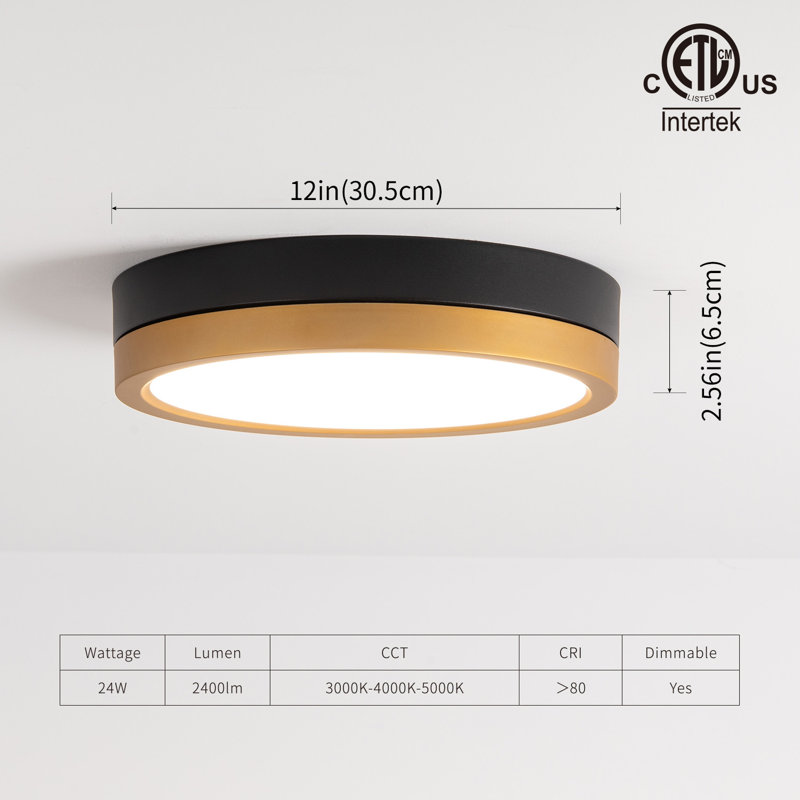 12" Modern Dimmable LED Flush Mount Lighting 3000K/4000K/5000K Adjustable