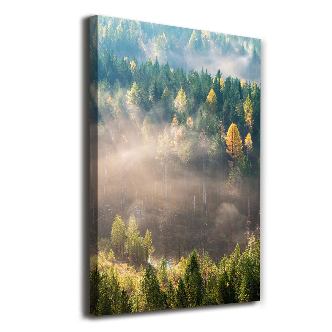 Nebel über dem Wald - Kunstdrucke auf Leinwand