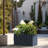 Lapria Handmade Planter Box-1647813145-1614452667
