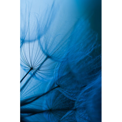 Dandelion Seed by Jasmina007