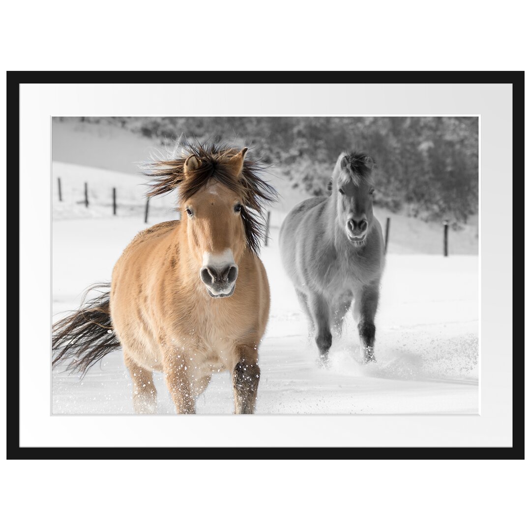 Gerahmtes Poster Zwei schöne Ponys im Schnee