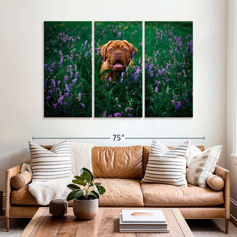 Dogue français Brampt, H 42 po x l 65 po