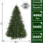 Arbre de Noël pin de l'Oregon-274877114