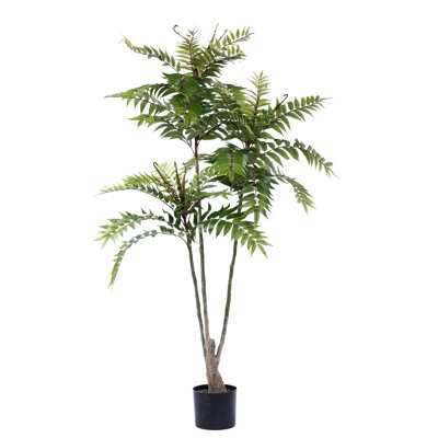Faux TOONA SINENSIS Tree