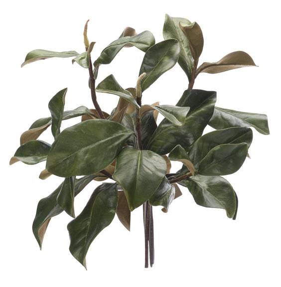 Magnolia Foliage, Green, Drop In, 16wx16dx16d
