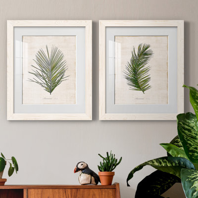 " Palm Botanical I " 2 - Pieces