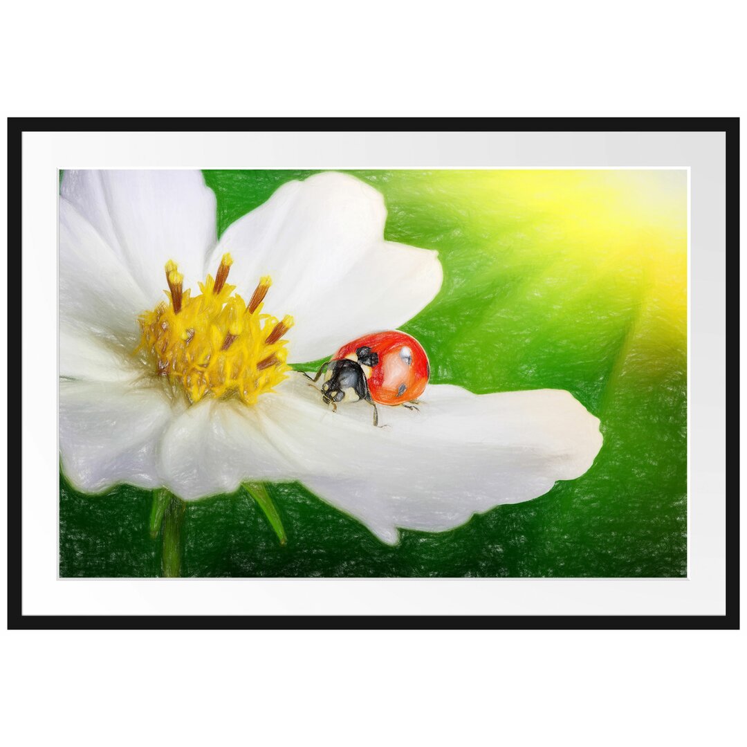 Gerahmtes Poster Marienkäfer auf einer weißen Blume