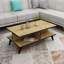 Coffee Table With Storage Shelves Crystal