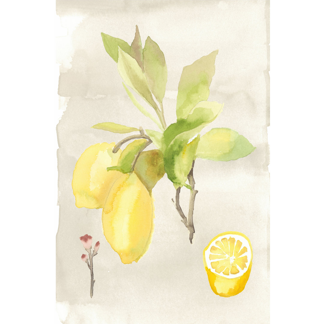 Leinwandbild Watercolour Fruit II von Naomi McCavitt