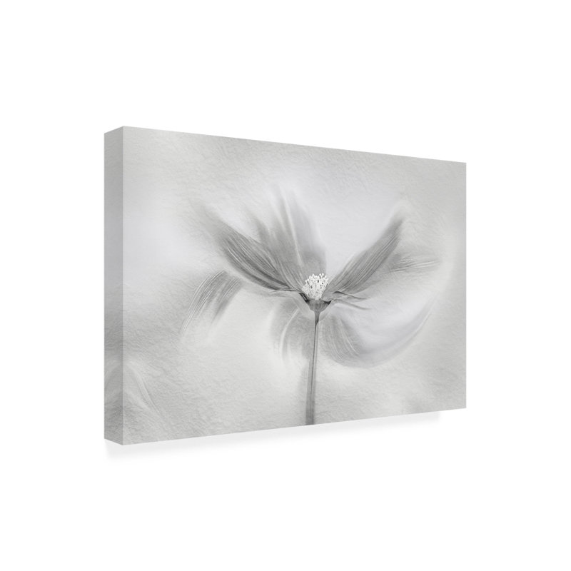 Molly Fu  Dancing Cosmos Canvas Art, 12" H x 19" W