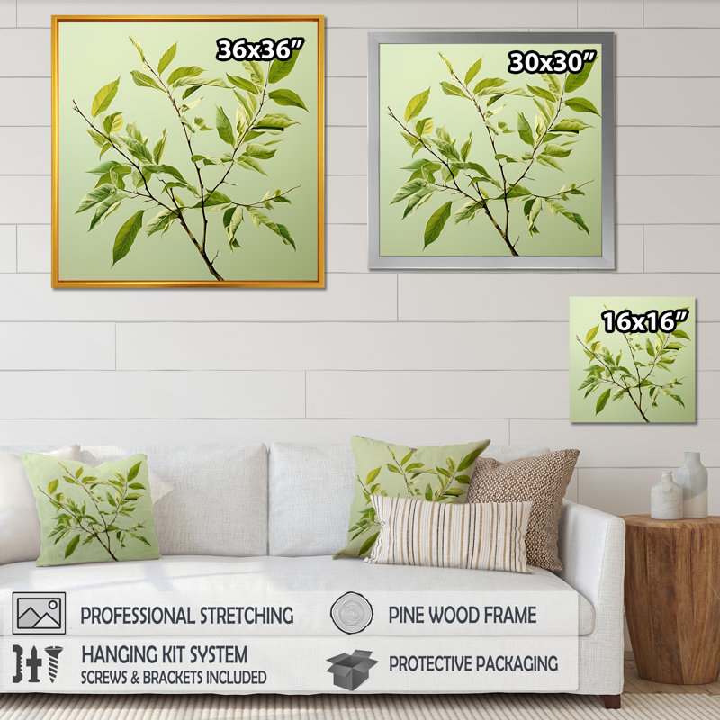 " Green Ferm Simple Collage I ", White Single Picture Framed, 36" H x 36" W x 1.5" D