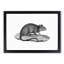 Rat Illustration - Picture Frame Drawing Print-55616464-55616468