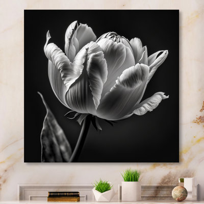Gros plan sur une tulipe noire et blanche II - fleur de tulipe murale en métal - MT81282