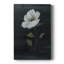 Country Botanical II - impression sur toile tendue-1301795132