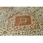 Chantel Oriental Area Rug