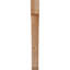Attelle de genou Legacy-64751483-64784755