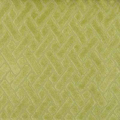 Fairview Velvet Fabric, Grass