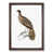 Walnut Framed selected