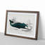 Beached Whale by Oliver Goldsmith - Single Picture Frame Painting-55543827-55543828