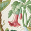 Palmetto Garden Fabric