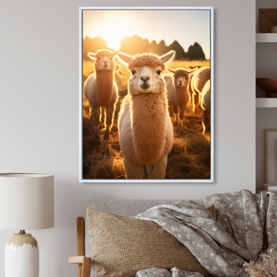 " Alcapas Pastoral Harmony "