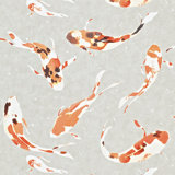 Koi Wallpaper