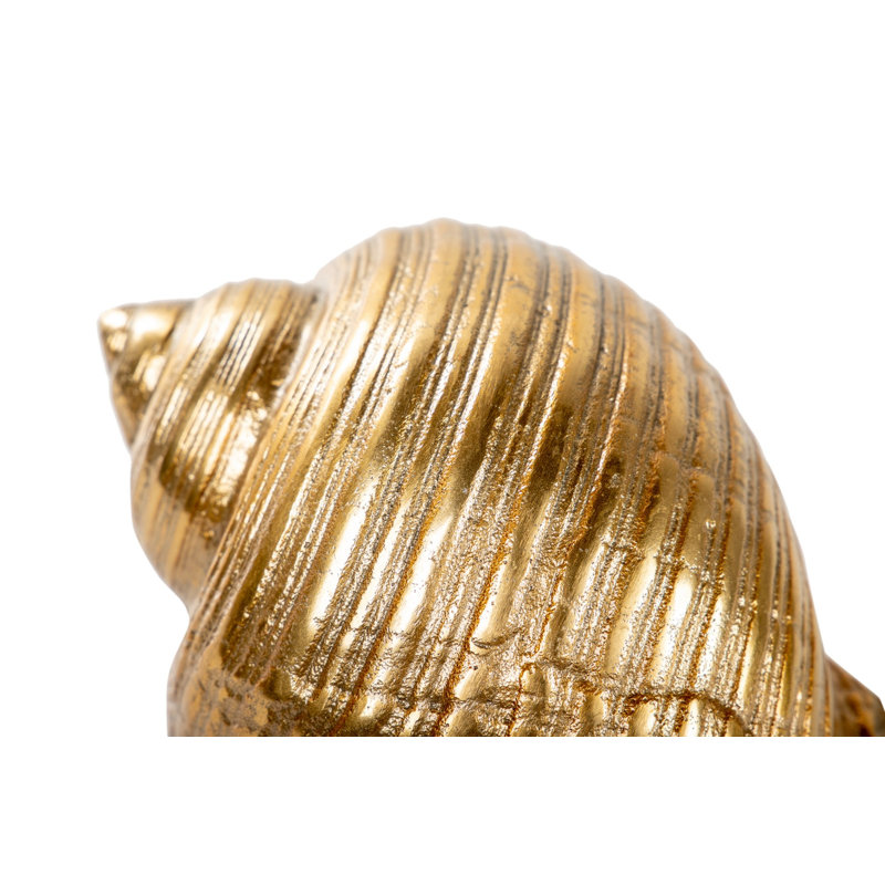 Rough Nickel Shell 22x16x12 Cm, Gold