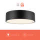 Mossy 3 Light Glass Flush Mount