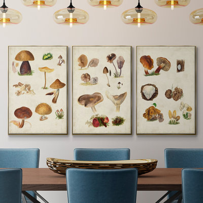 Mushroom Species I