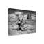 «Black and White Desert View V» par David Drost - reproduction de photo sur toile-1698766780