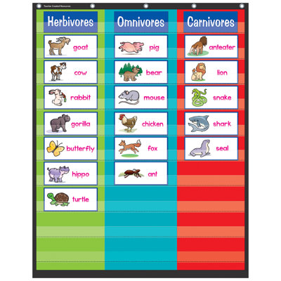Teacher Created Resources 3 Column Pocket Chart, 34" X 44"