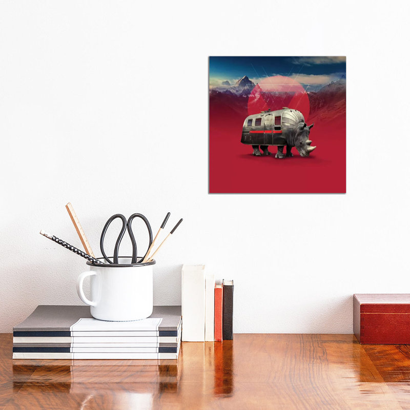 Rhino, Square by Ali Gulec - Wrapped Canvas Print, 30.48 cm H x 30.48 cm W
