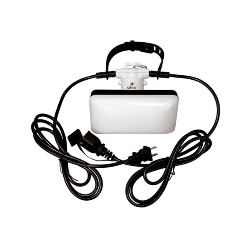 Leonice Outdoor 1 - Bulb 120'' Plug-in LED String Light