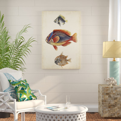 " Antique Fish Species IV " Painting Print